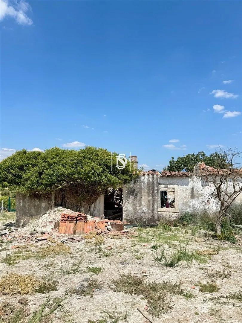 Real estate land