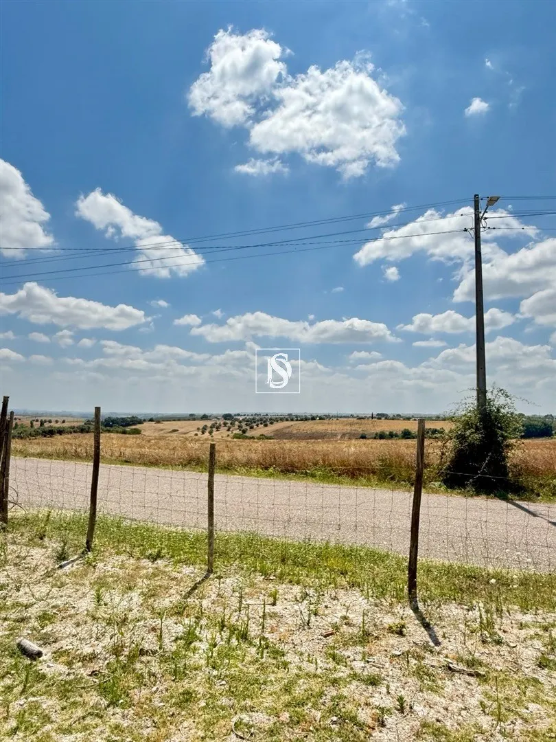 Real estate land
