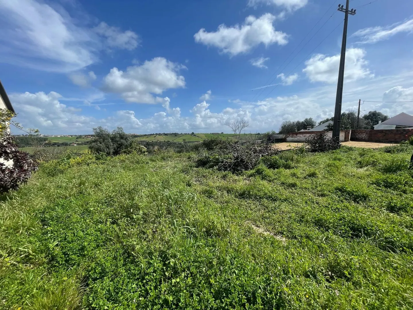 Terreno
