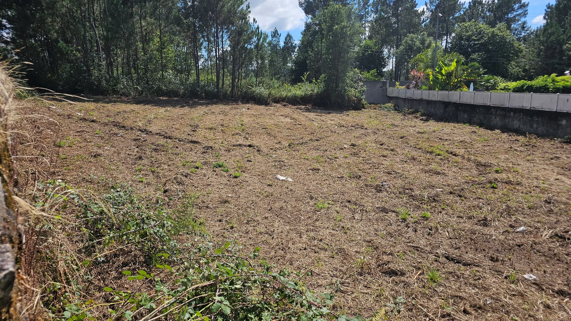 Terreno