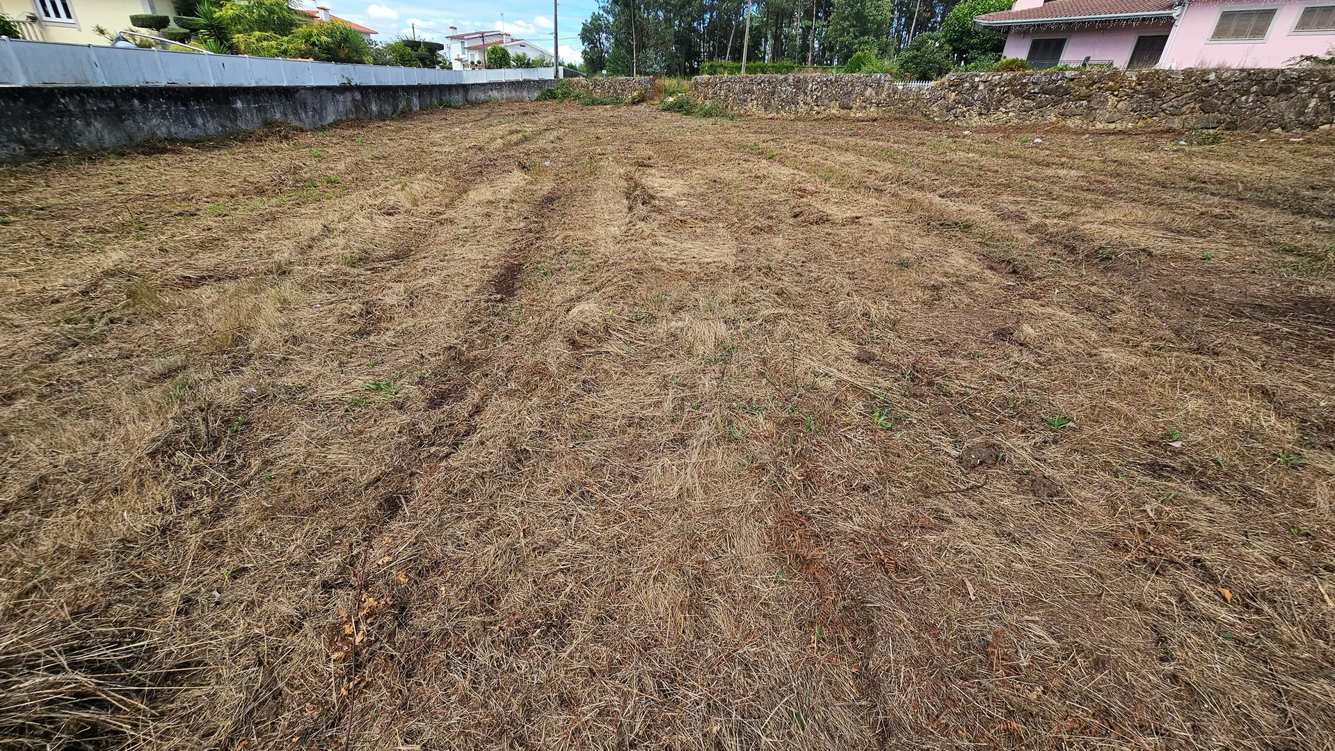 Terreno