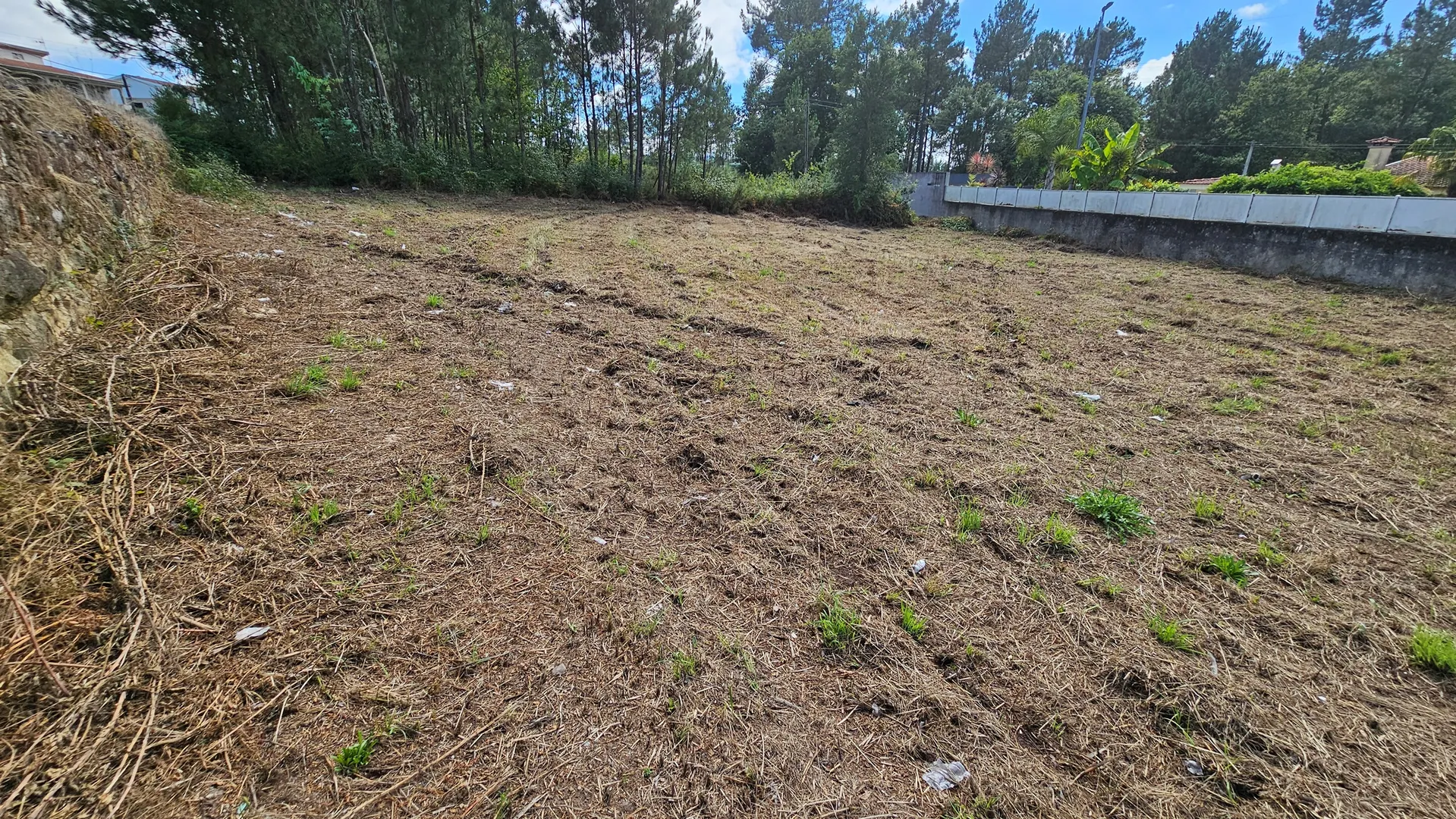 Terreno