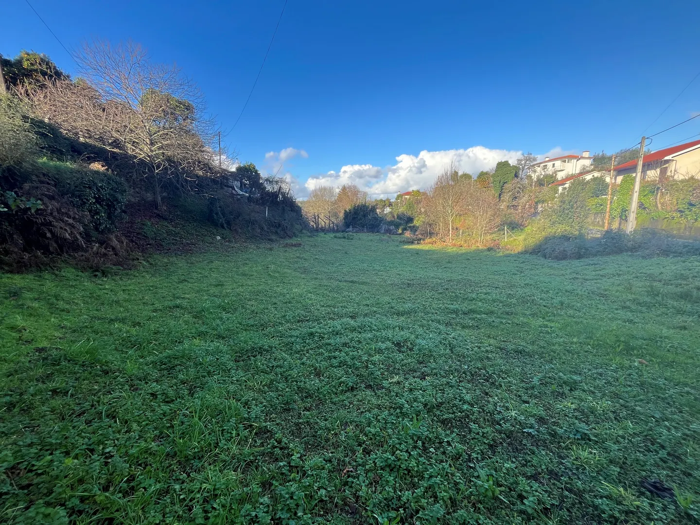 Terreno