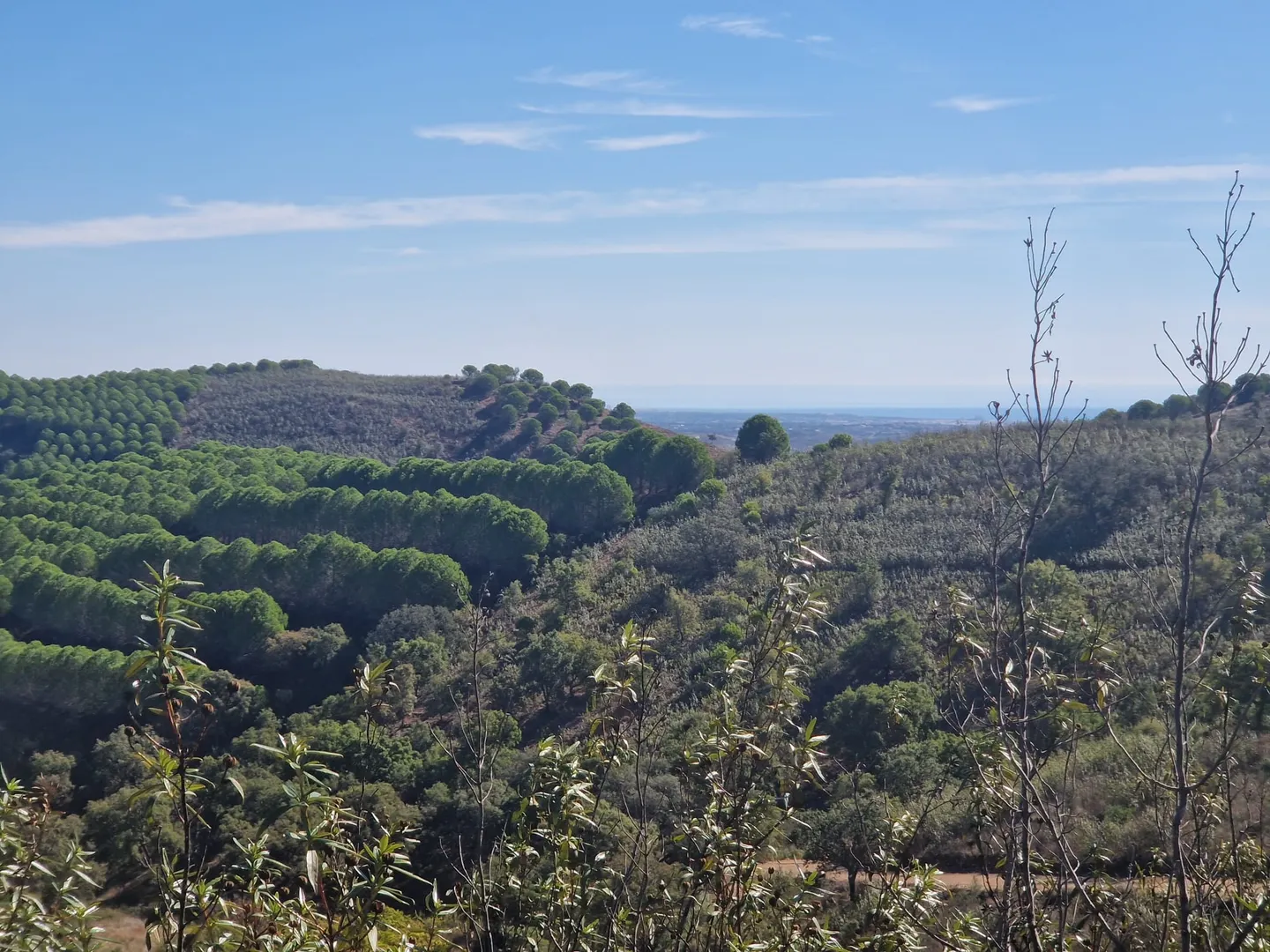 Terreno