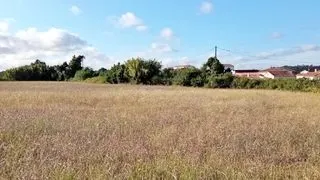 Terreno