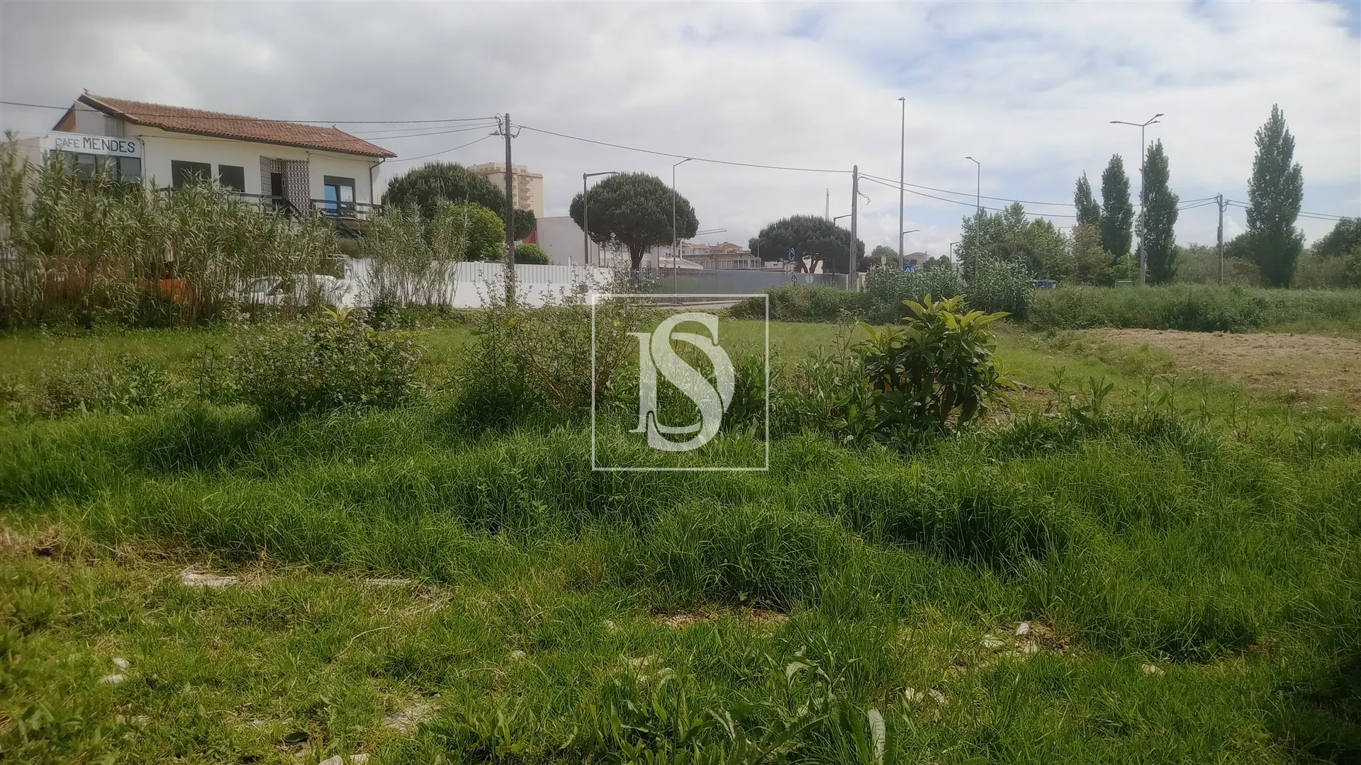 Terreno