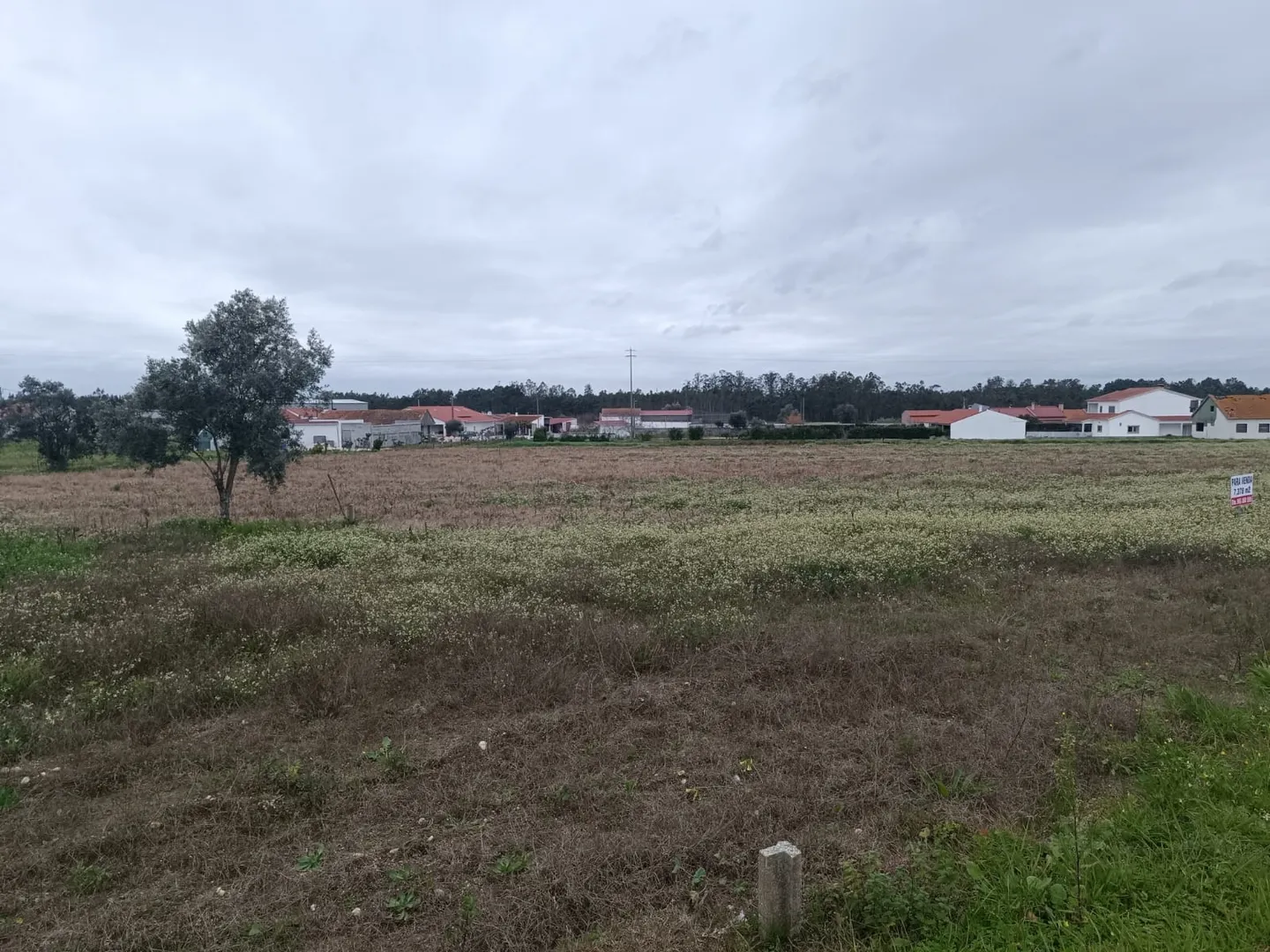 Terreno