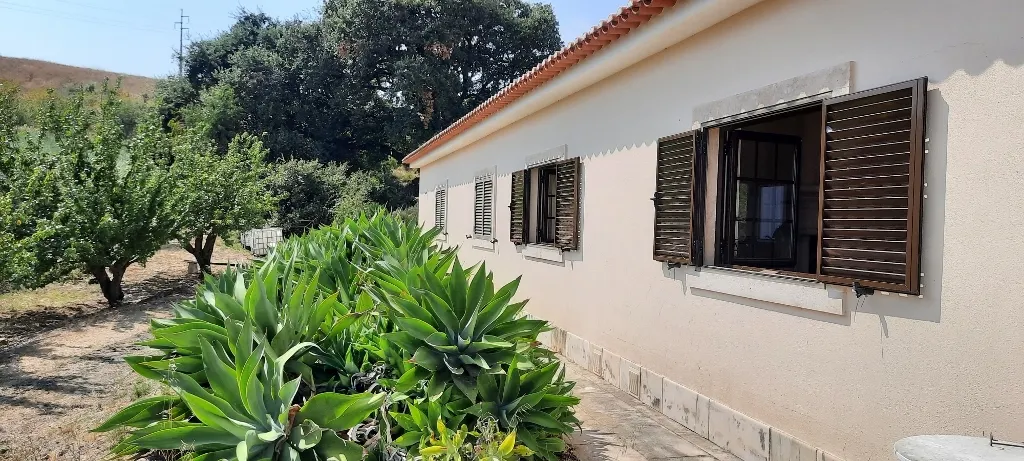 Quinta T2