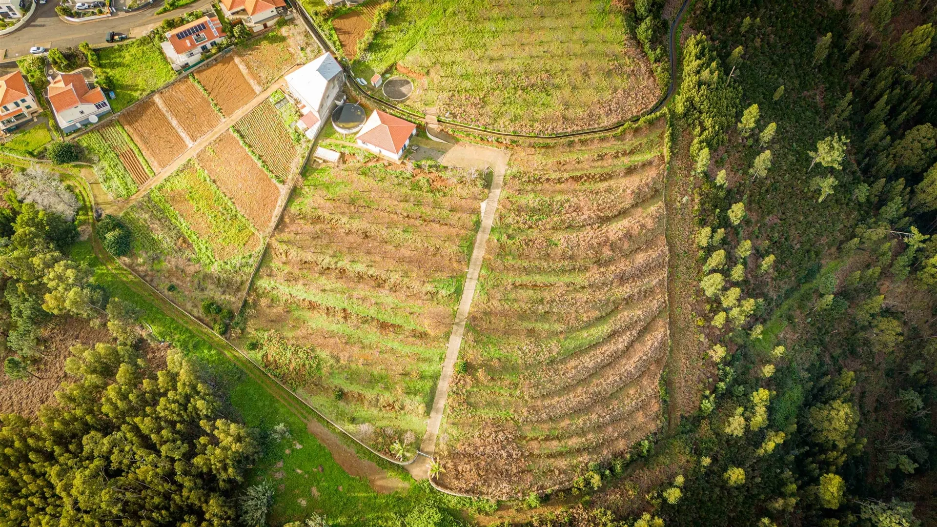 Terreno