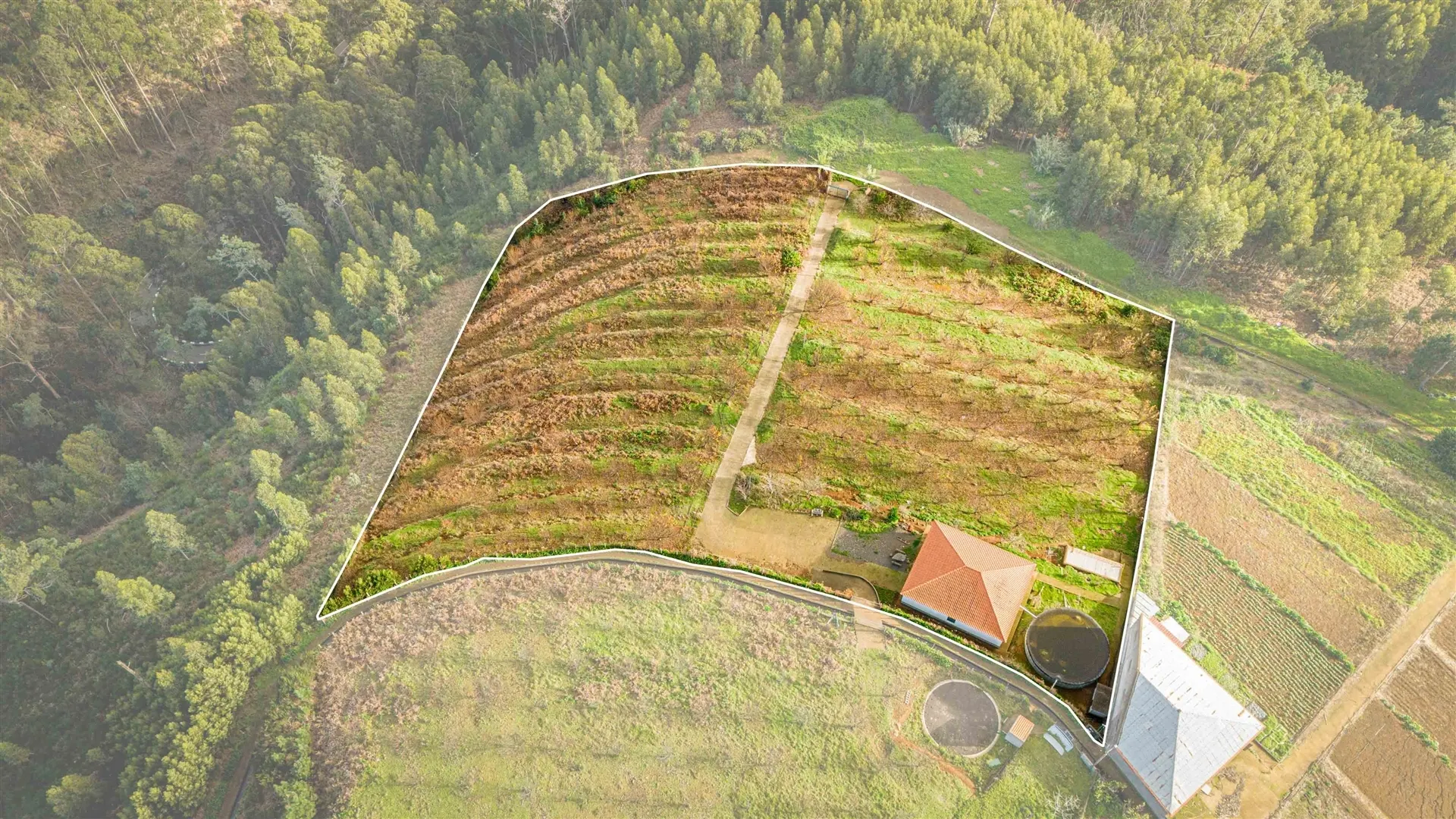 Terreno