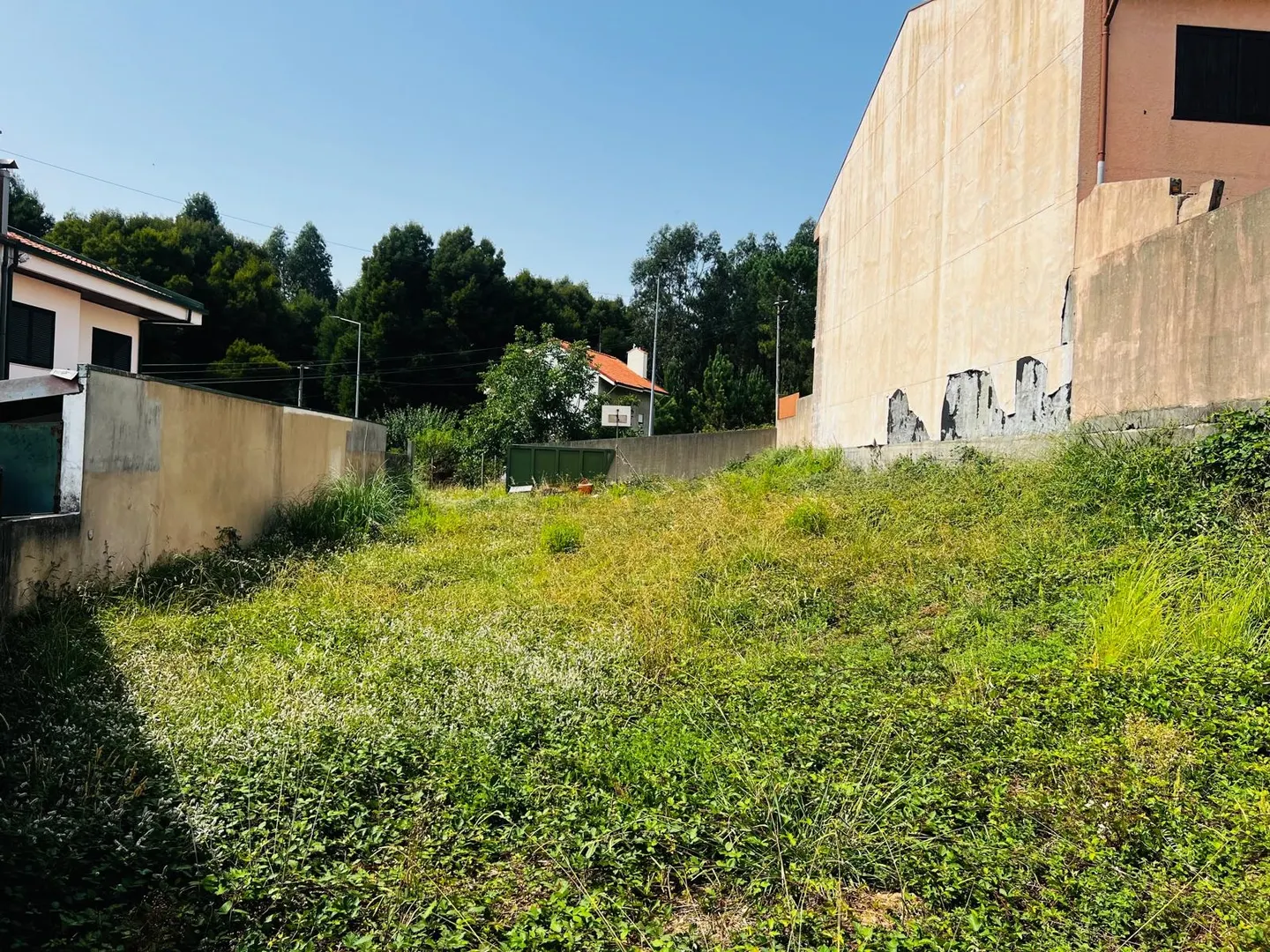Terreno