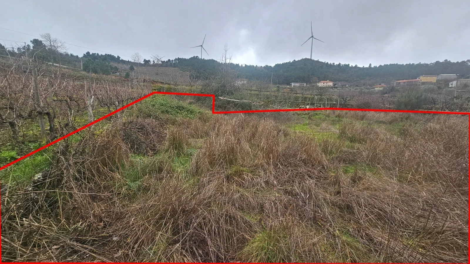 Terrenos Rústicos – Aricera e Goujoim, Armamar (Viseu)