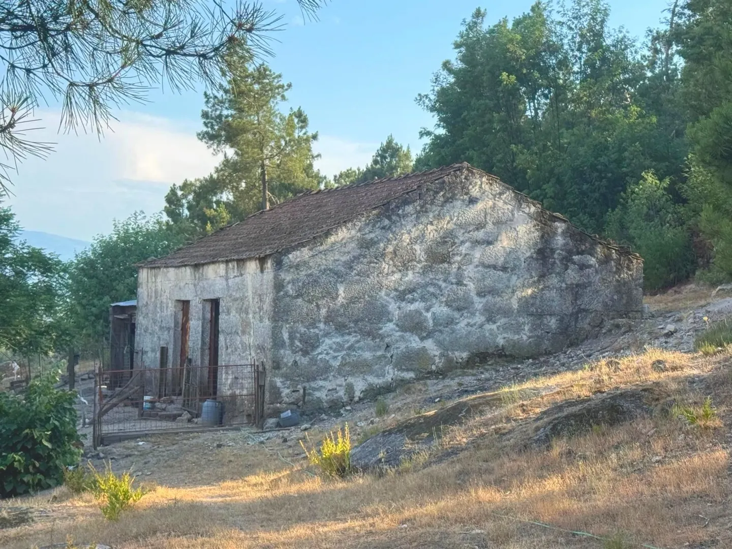 Quintinha