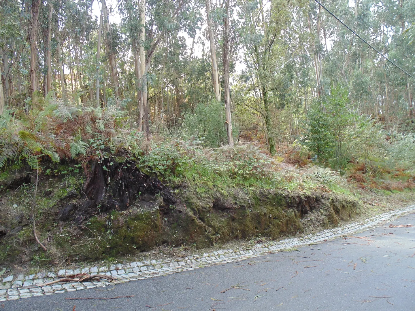 Terreno