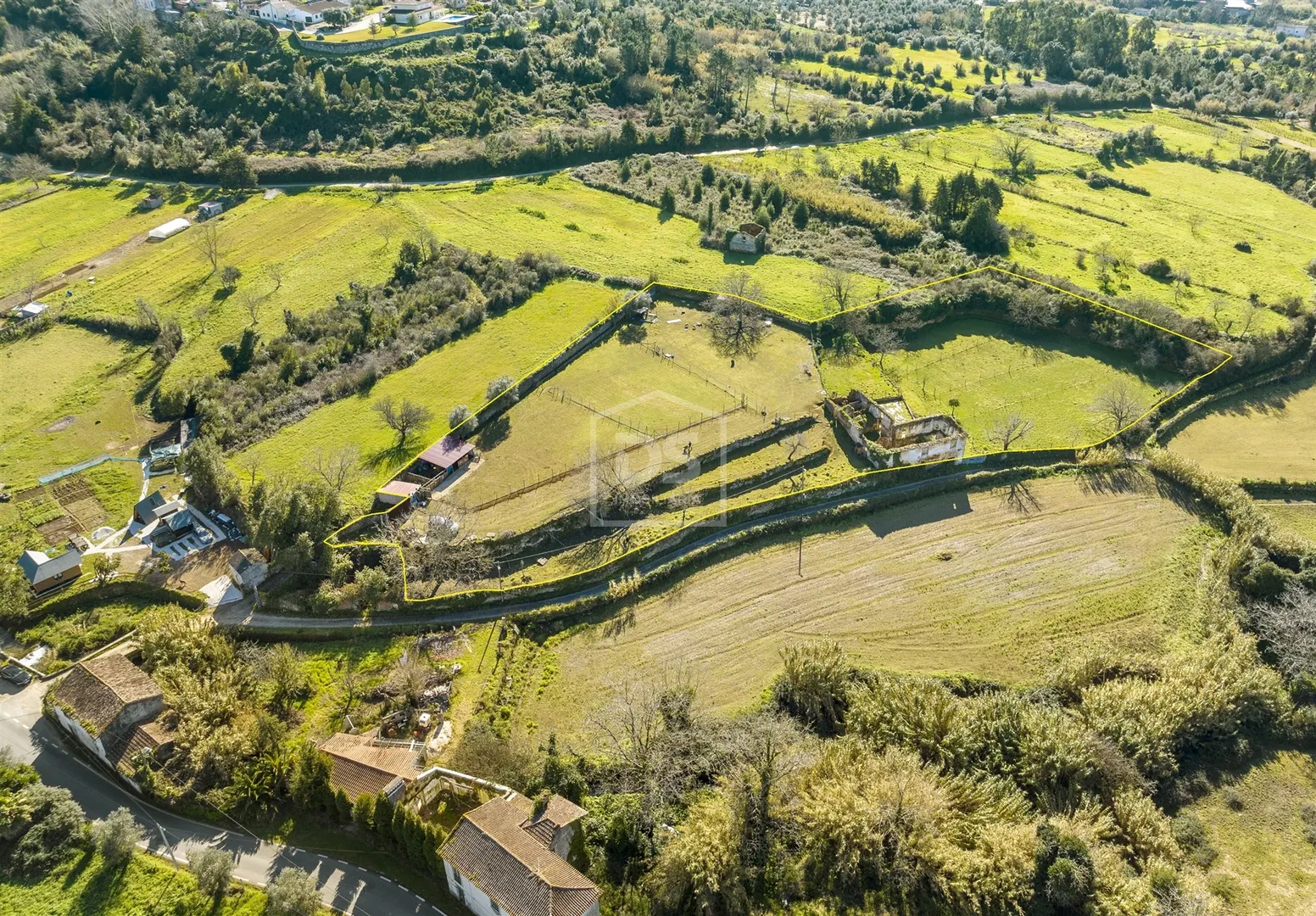 Quinta T5