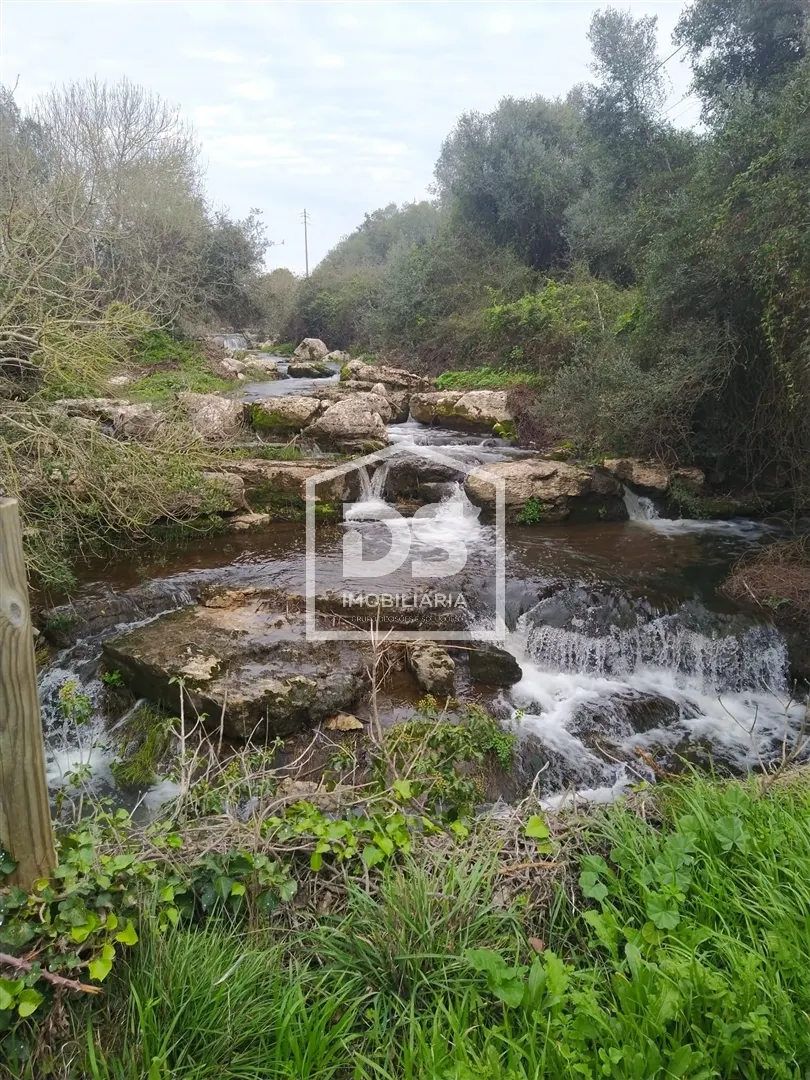 Quinta Rústica T5 em Sintra