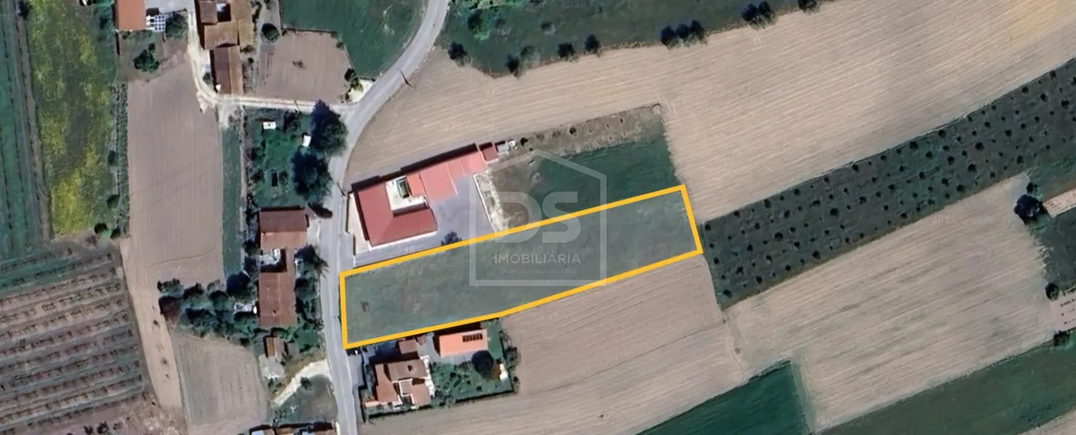 Terreno