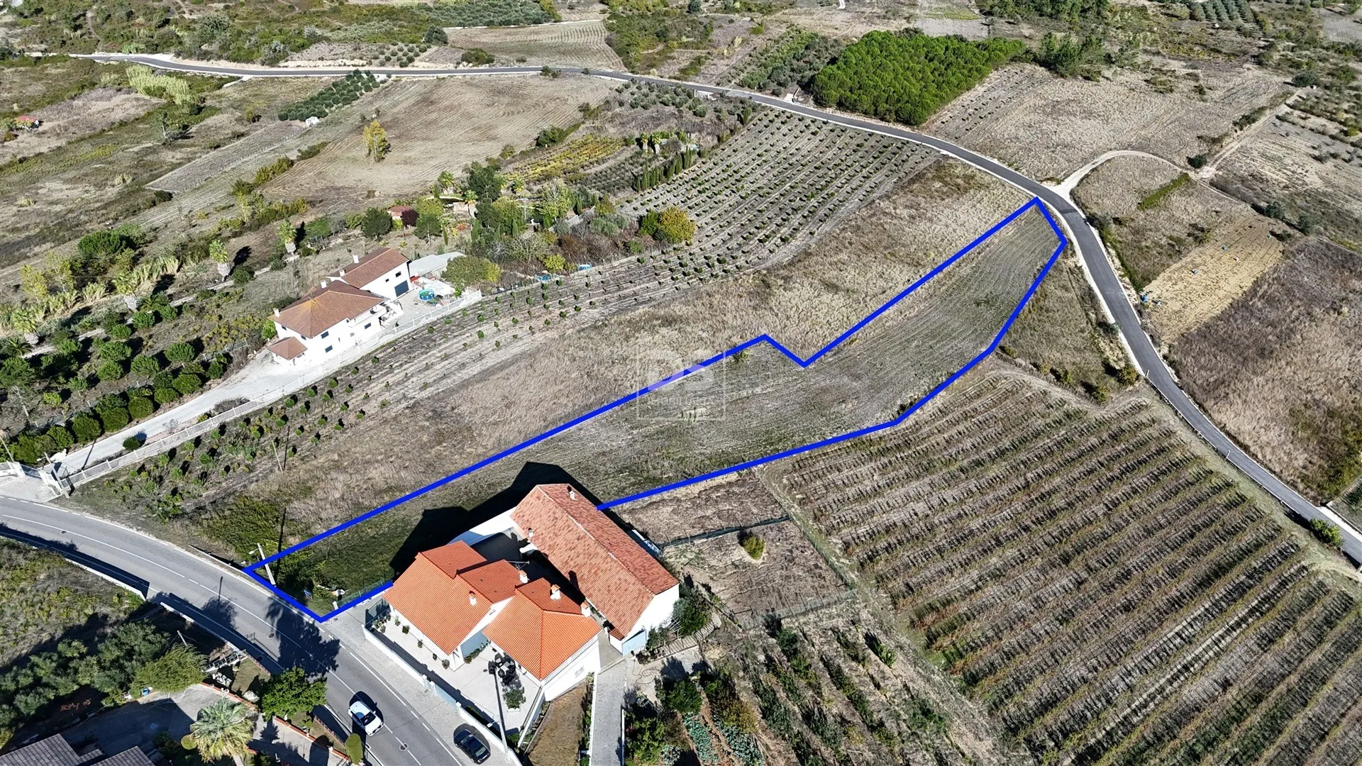 Land for Sale in Andreus, Leiria