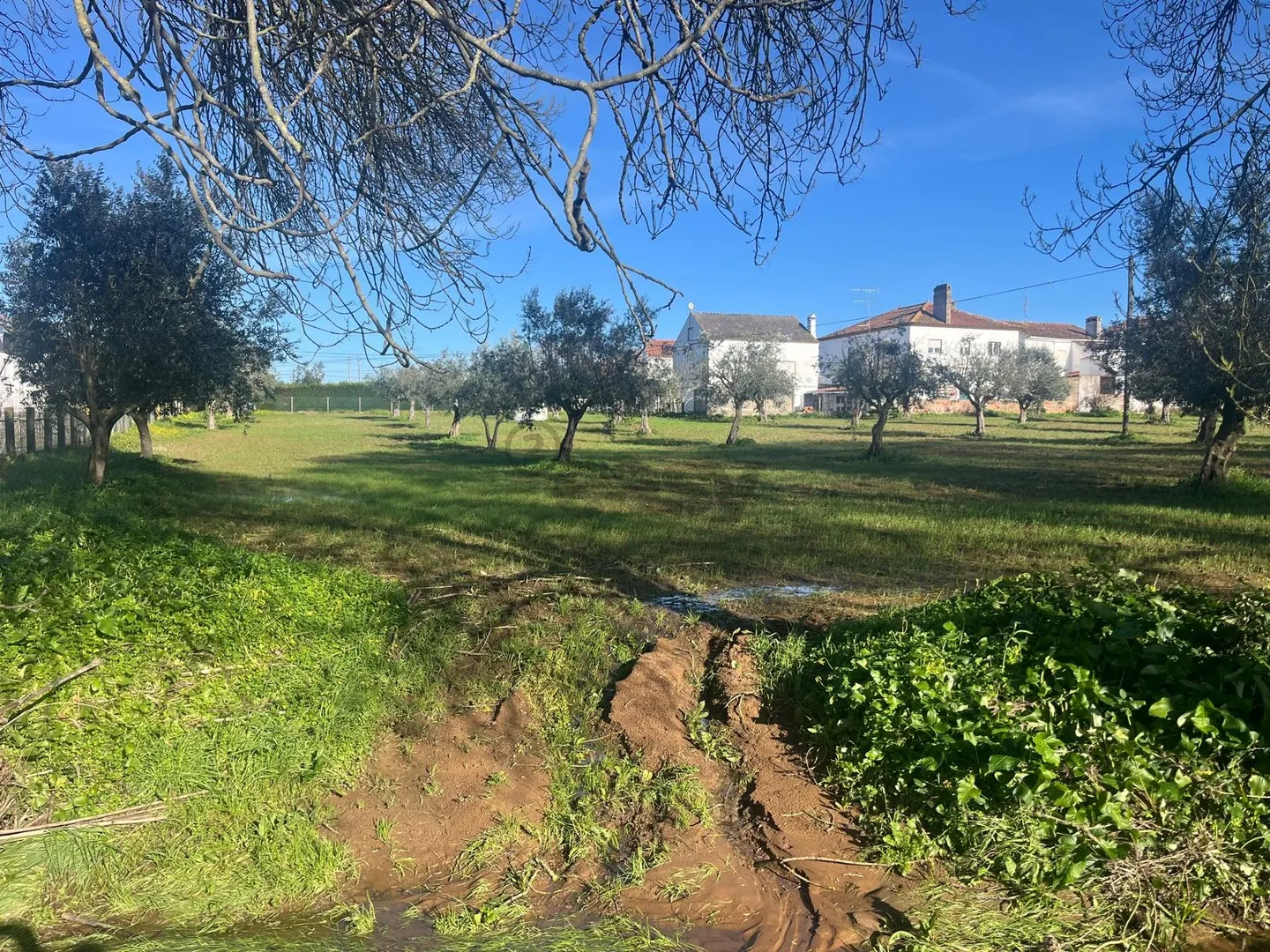 Land for sale in Montemor-o-Novo, Portugal — €110,000