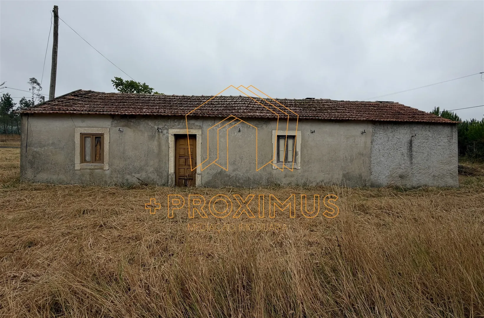 img_0