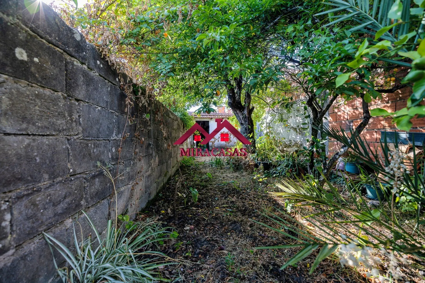 img_25