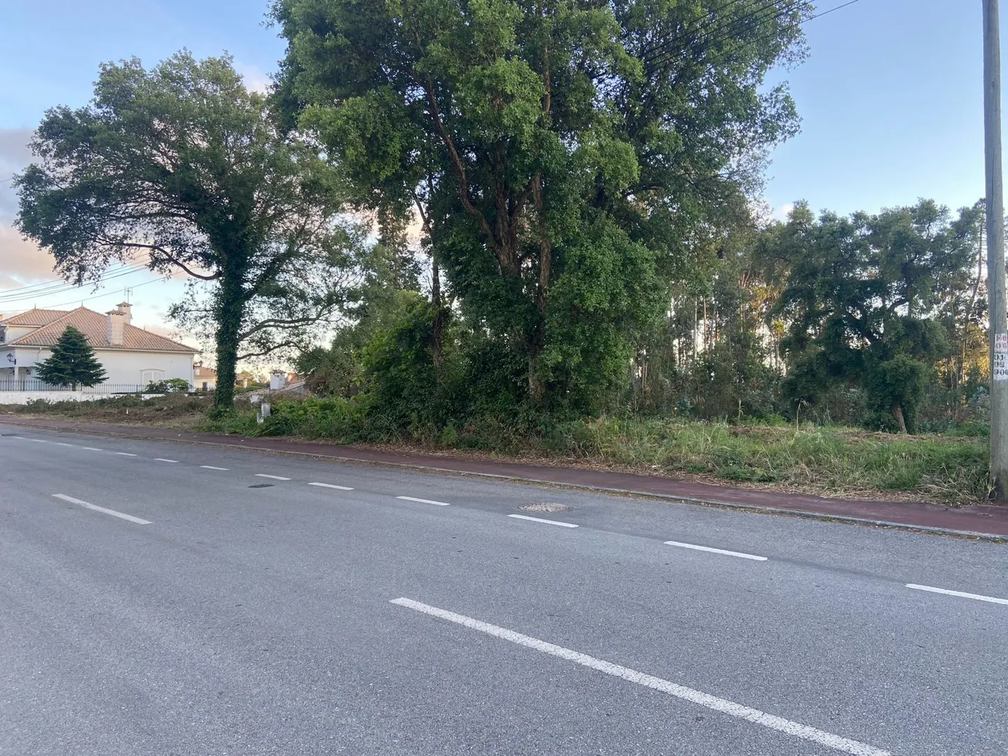 img_0