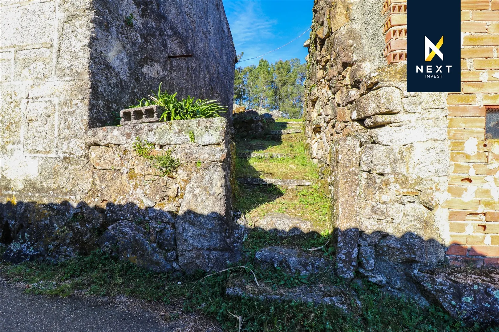 img_2