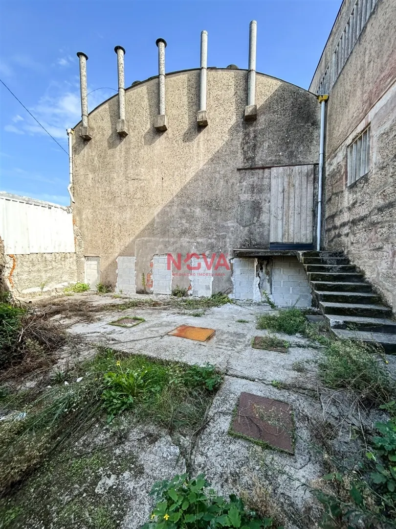 img_8
