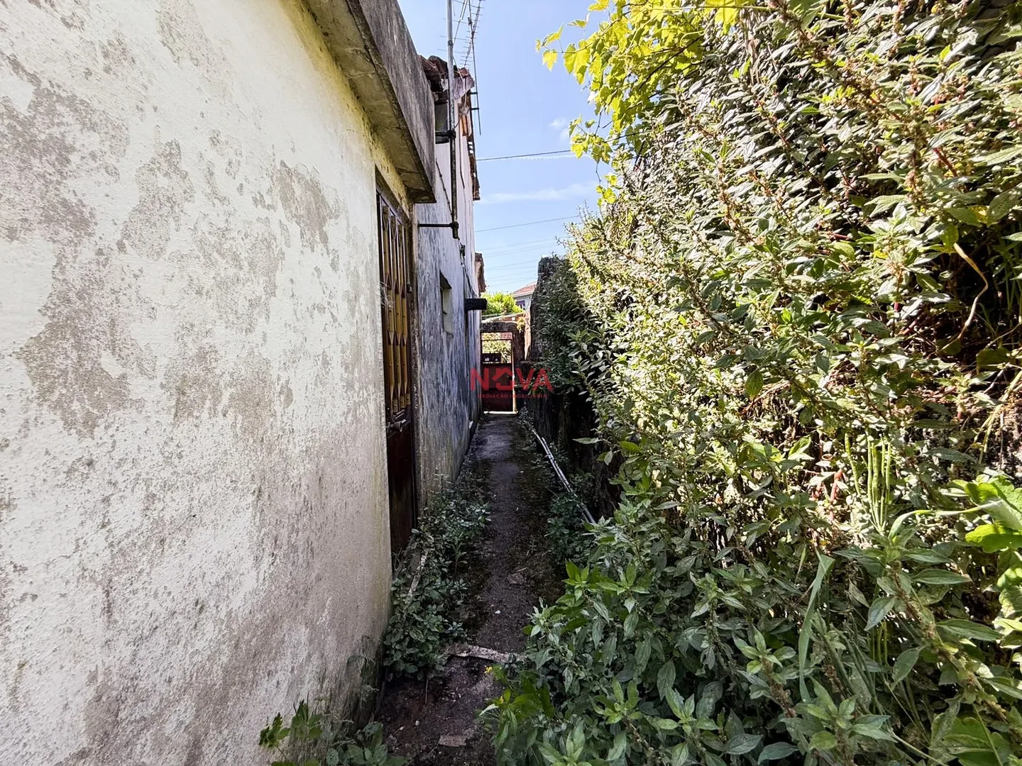 img_19
