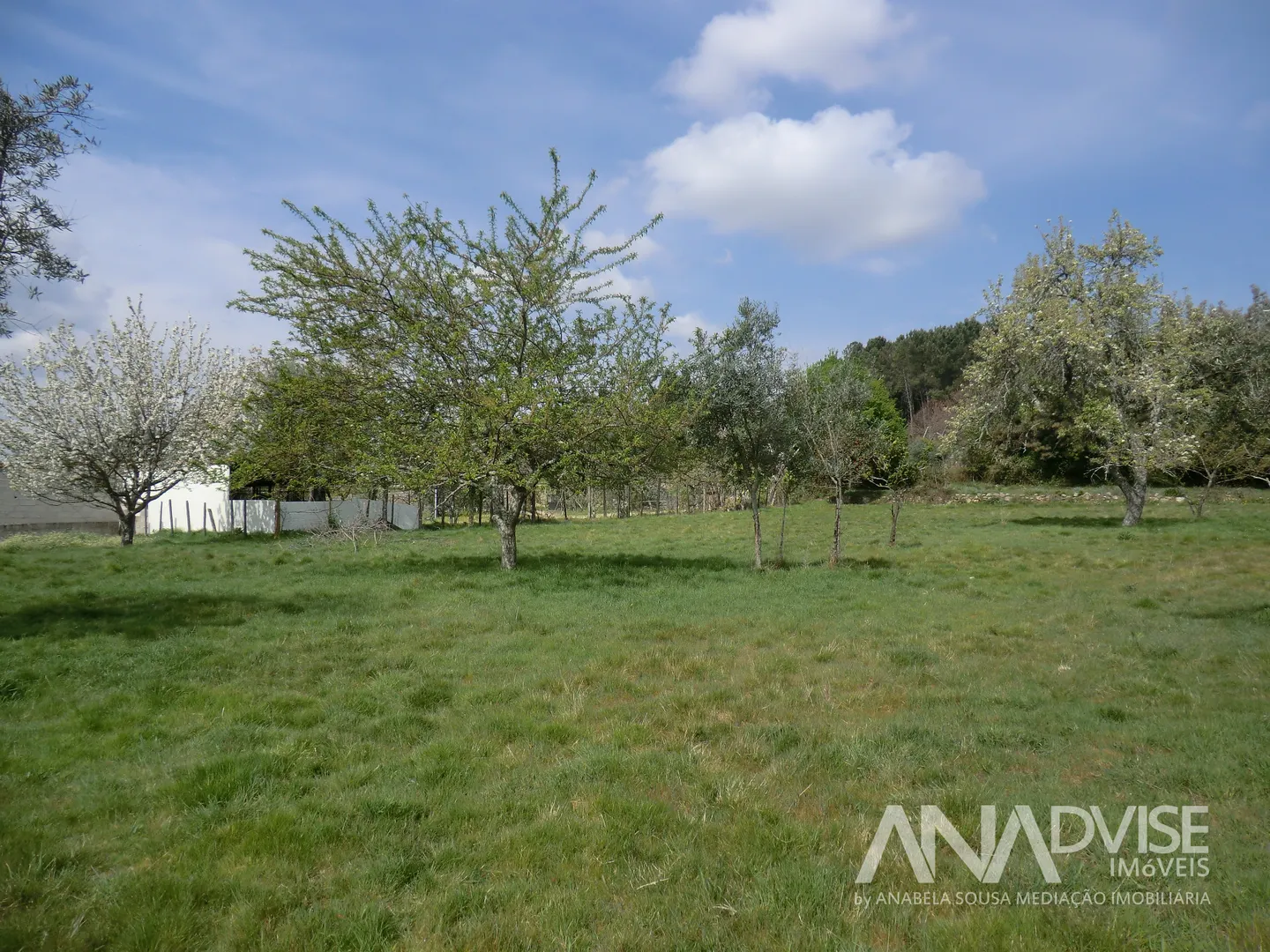 Detached house to restore T1