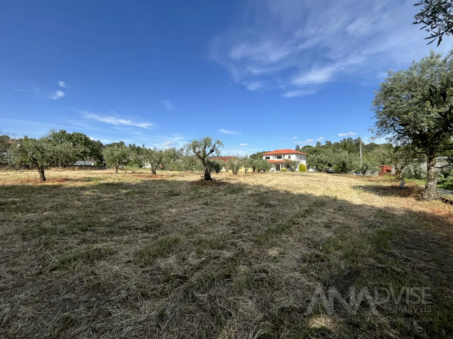 Terreno