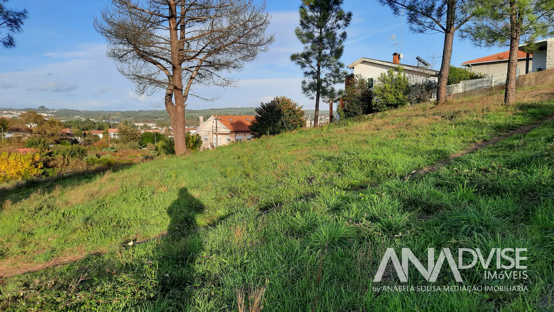 Real Estate building