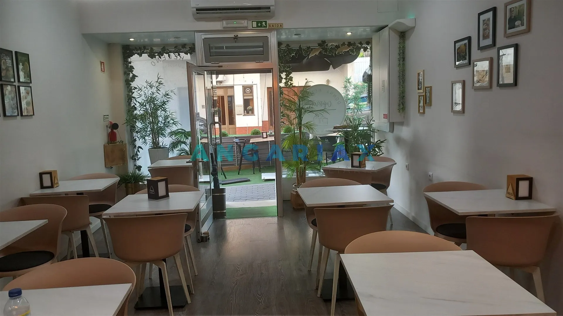 img_8