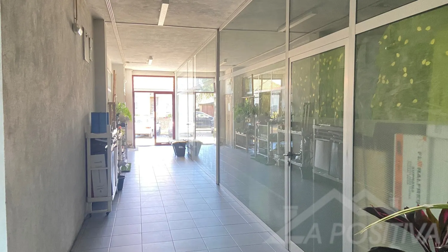 img_6