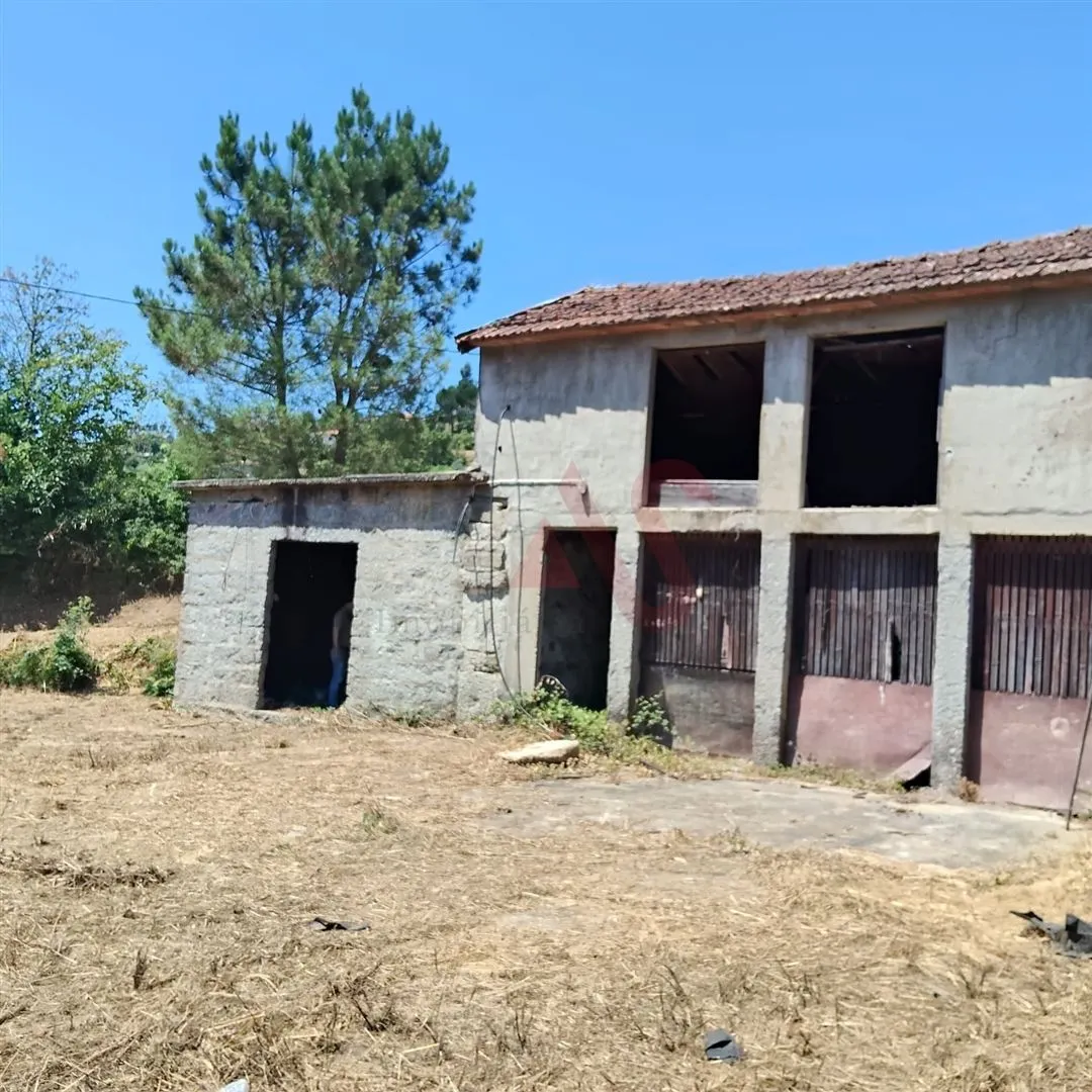 img_2