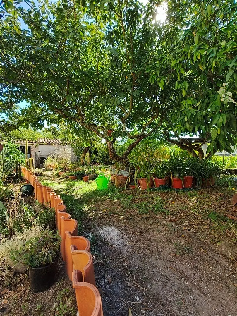 img_30