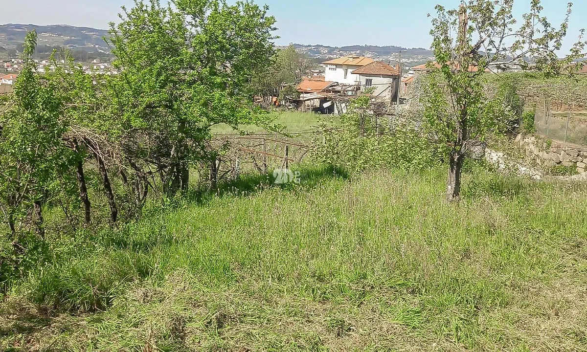 img_5