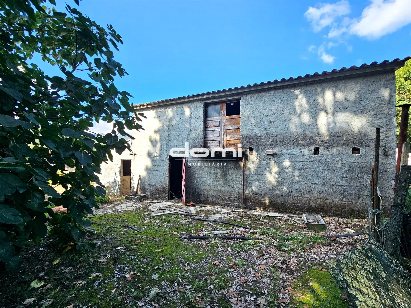 img_3