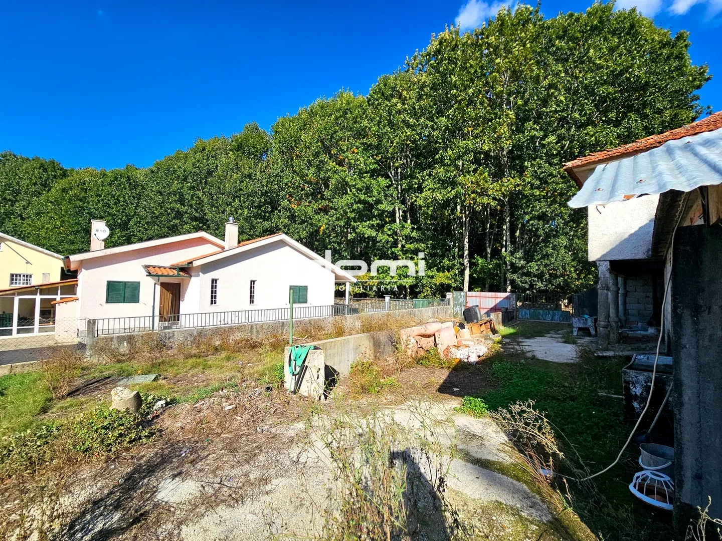 img_5