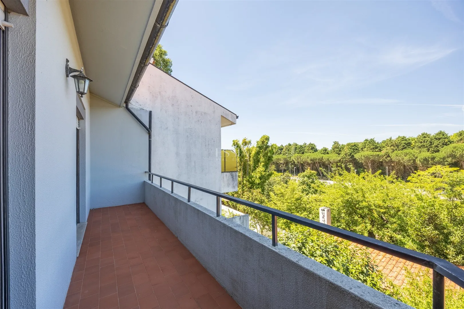 img_44