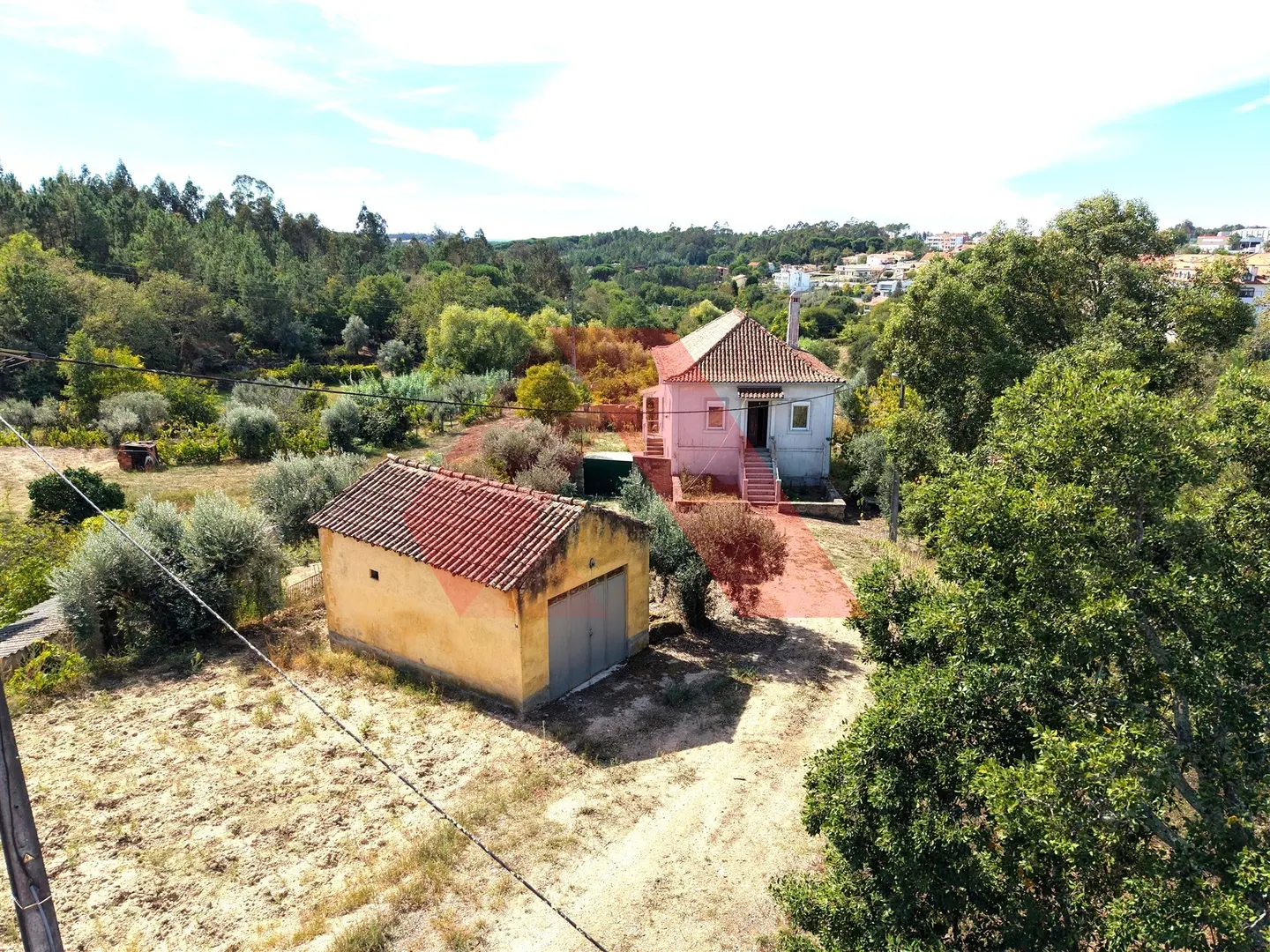 img_5