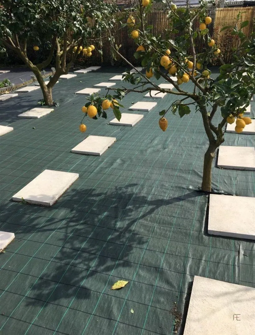 img_121