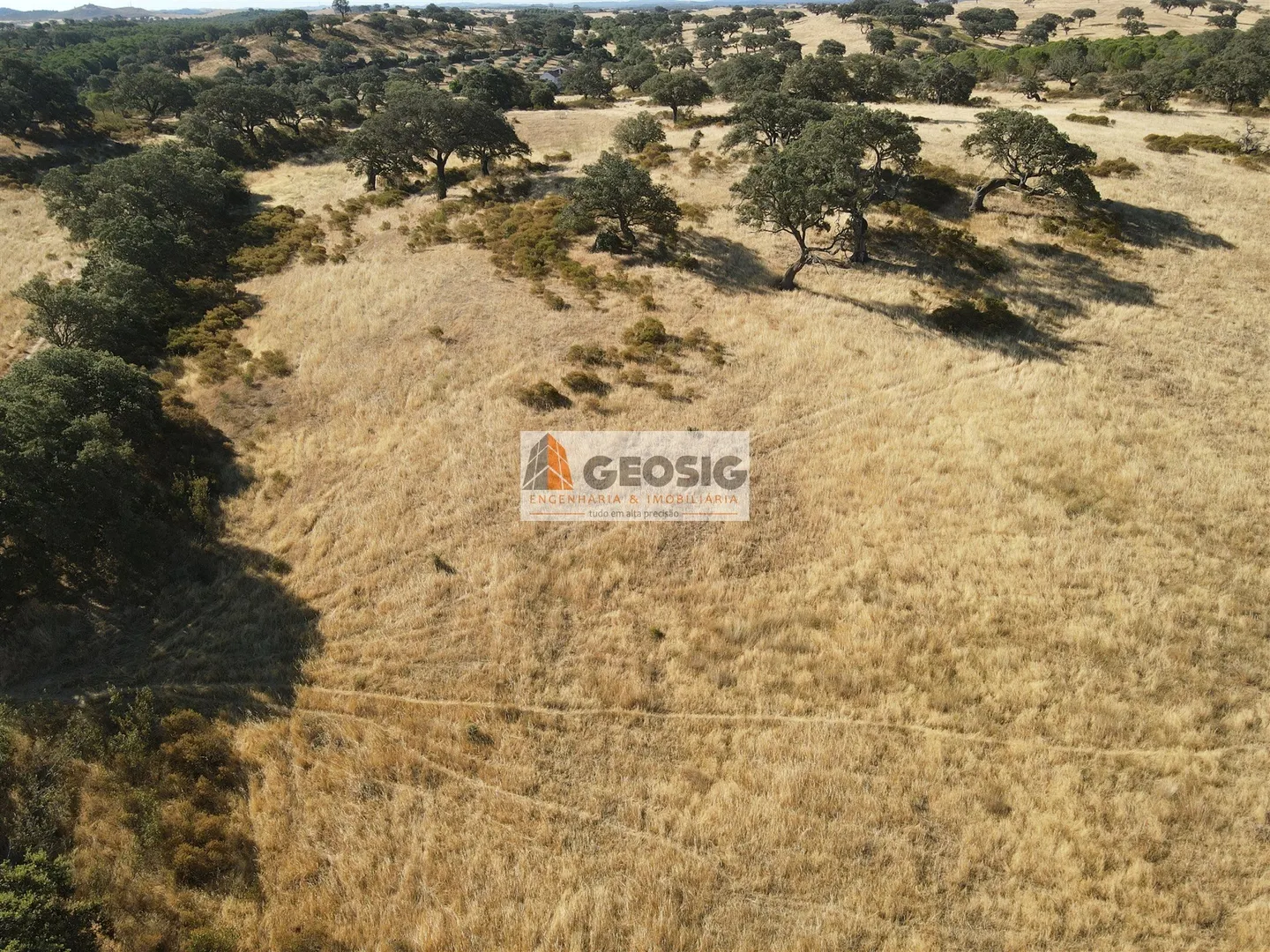 img_21