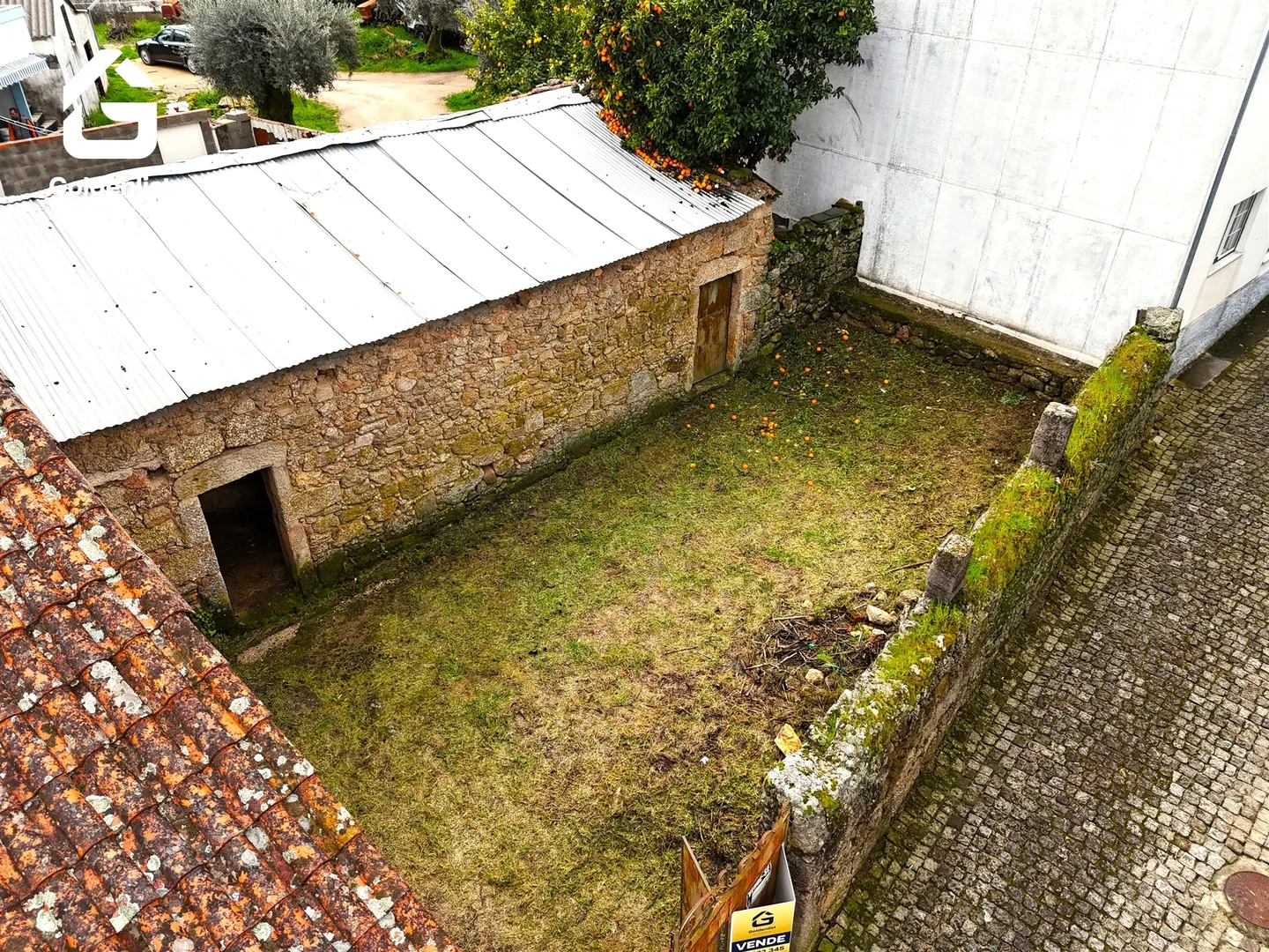 img_0