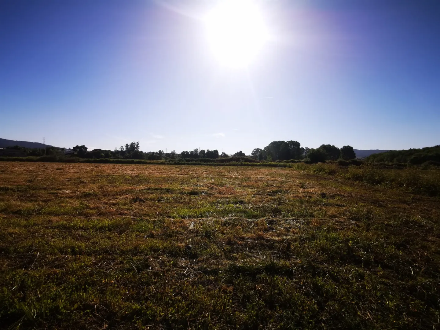 img_40