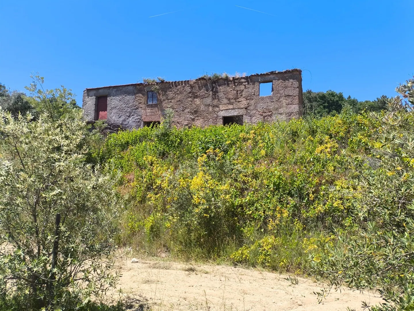 img_23
