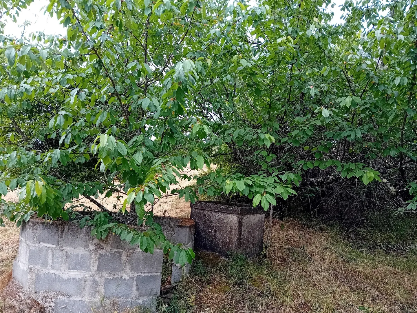 img_10