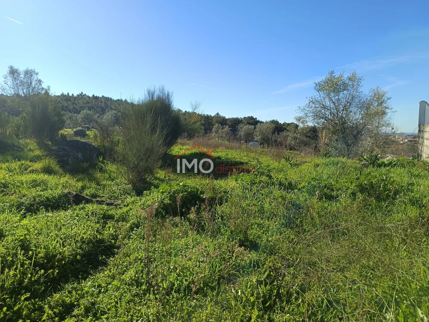 img_0