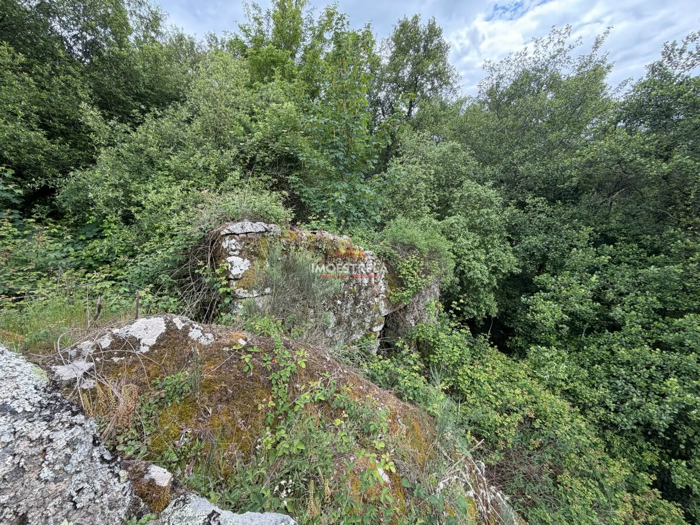 img_8