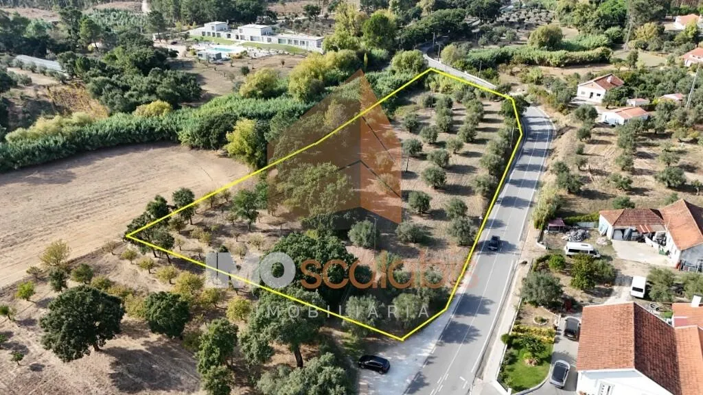 img_1